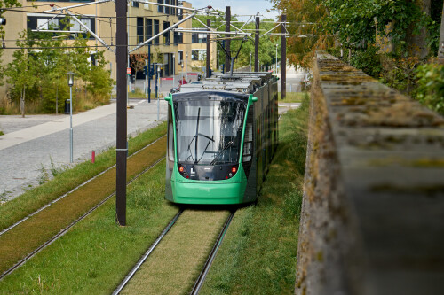 2026-Odense_YTR193.jpg