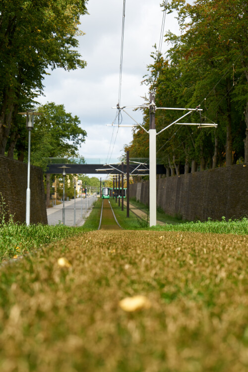 2026-Odense_YTR195.jpg